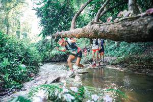 BIB: 
                            <button type="button" onclick="openModal(25434418)" class="btn btn-primary btn-sm float-right btn-popup" data-toggle="modal" data-target=".modal-high-quality">
                        <i class="fas fa-shopping-cart"></i> Add to Cart
                    </button>
                                            <button type="button" onclick="isThisMe(25434418, true)" class="btn btn-success btn-sm float-right btn-popup btn-isme hidden" data-toggle="tooltip" data-placement="bottom" title="นี่คือรูปของคุณใช่ไหม คลิกที่นี่เพื่อเอาเข้าอัลบั้ม">
                        <i class="fas fa-plus"></i> Add to album
                    </button>
                    <button type="button" onclick="isThisMe(25434418, false)" class="btn btn-warning btn-sm float-right btn-popup btn-isnotme hidden">
                        <i class="fas fa-ban"></i> Remove from album
                    </button>